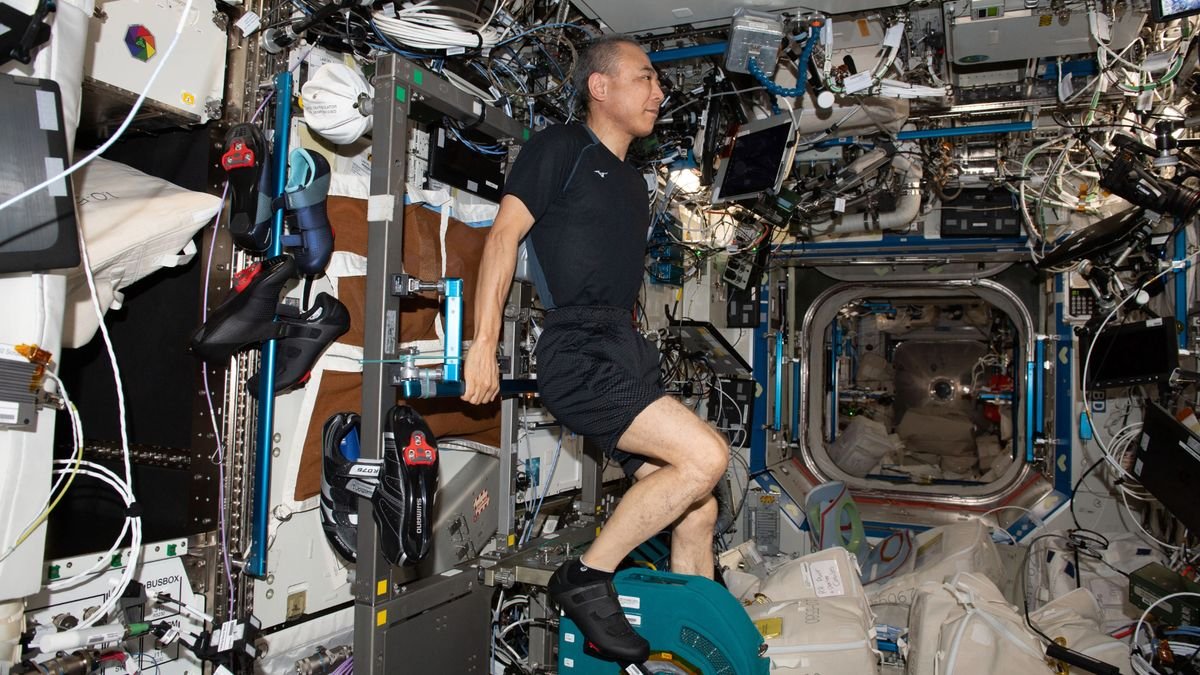 Kolejny gigantyczny skok? Jak skok może pomóc astronauci trenować na wycieczki na Księżyc i Mars