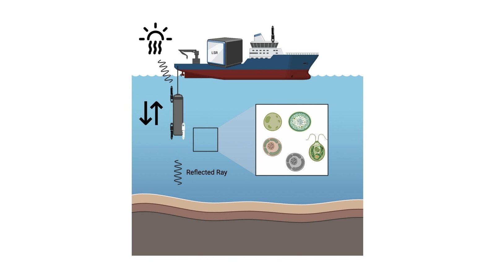 Inkubator napędzany AI zwiększa zrozumienie dynamiki węgla oceanicznego