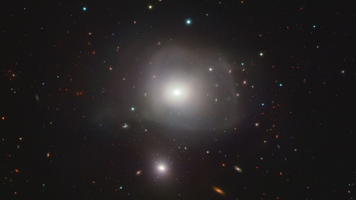 Astronomowie odkrywają, że zniekształcona galaktyka jest kosmicznym drapieżnikiem, który nosi „blizny” z ostatniego posiłku (zdjęcie)