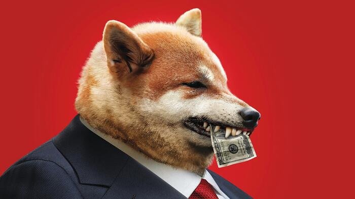 Doge znów sprawia, że ​​matematyka jest świetna