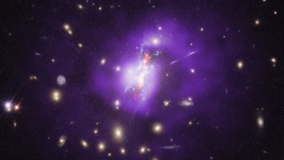 James Webb Space Telescope dowiaduje się, jak kosmiczny Phoenix ochładza się gwiazdami urodzenia