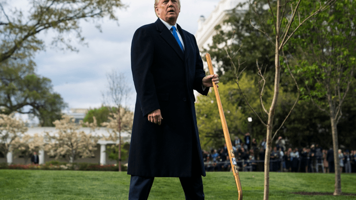 Trump porusza się, aby wzmocnić drewniane zapasy i zająć się zagrożeniami bezpieczeństwa narodowego